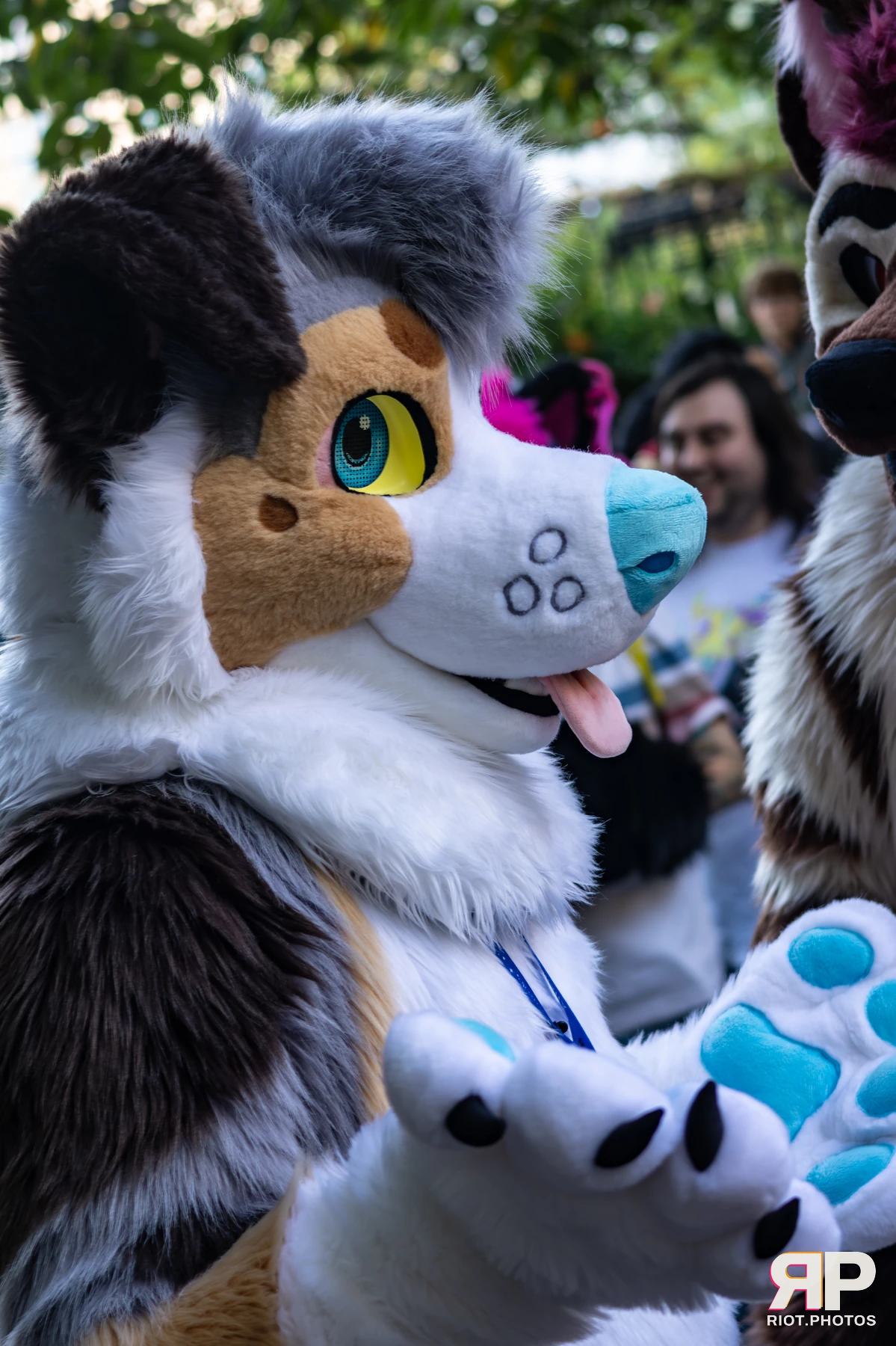 MancFurs - October, 2025 — 11 Oct 2025, Fluffy Riot photography — photo 47