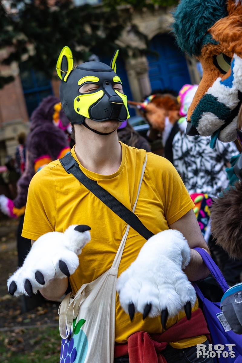 2025-10-11 MancFurs-202510-048.jpg