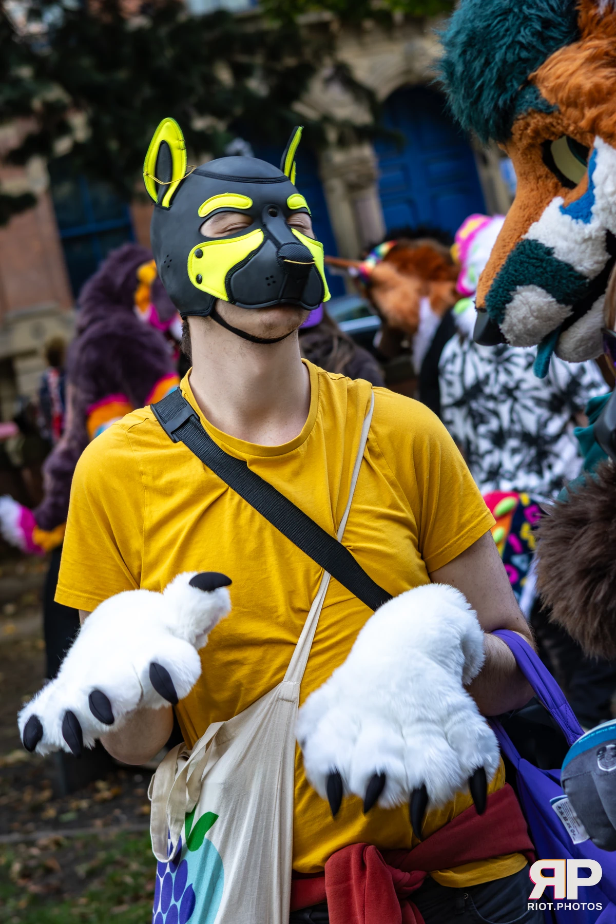 MancFurs - October, 2025 — 11 Oct 2025, Fluffy Riot photography — photo 48
