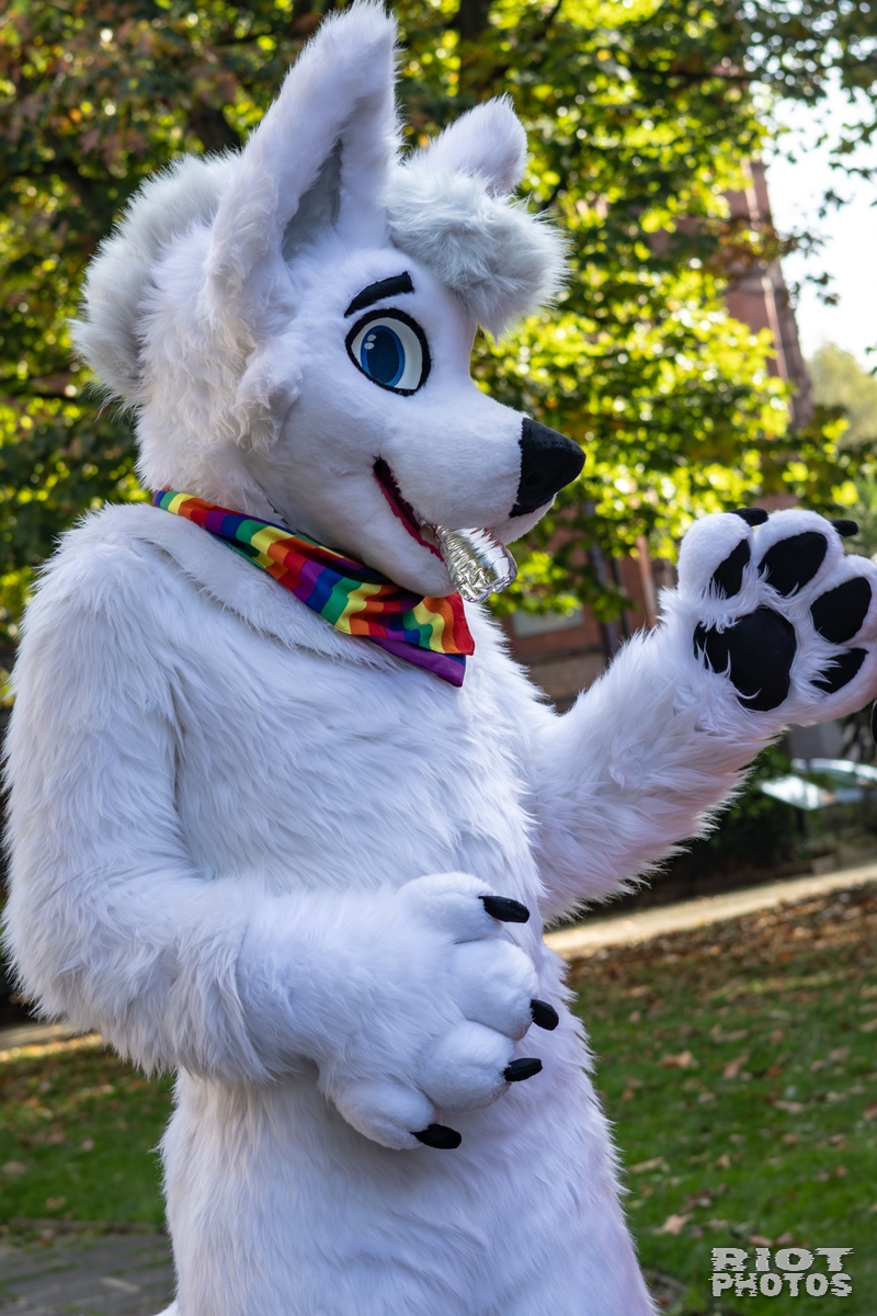 2025-10-11 MancFurs-202510-049.jpg
