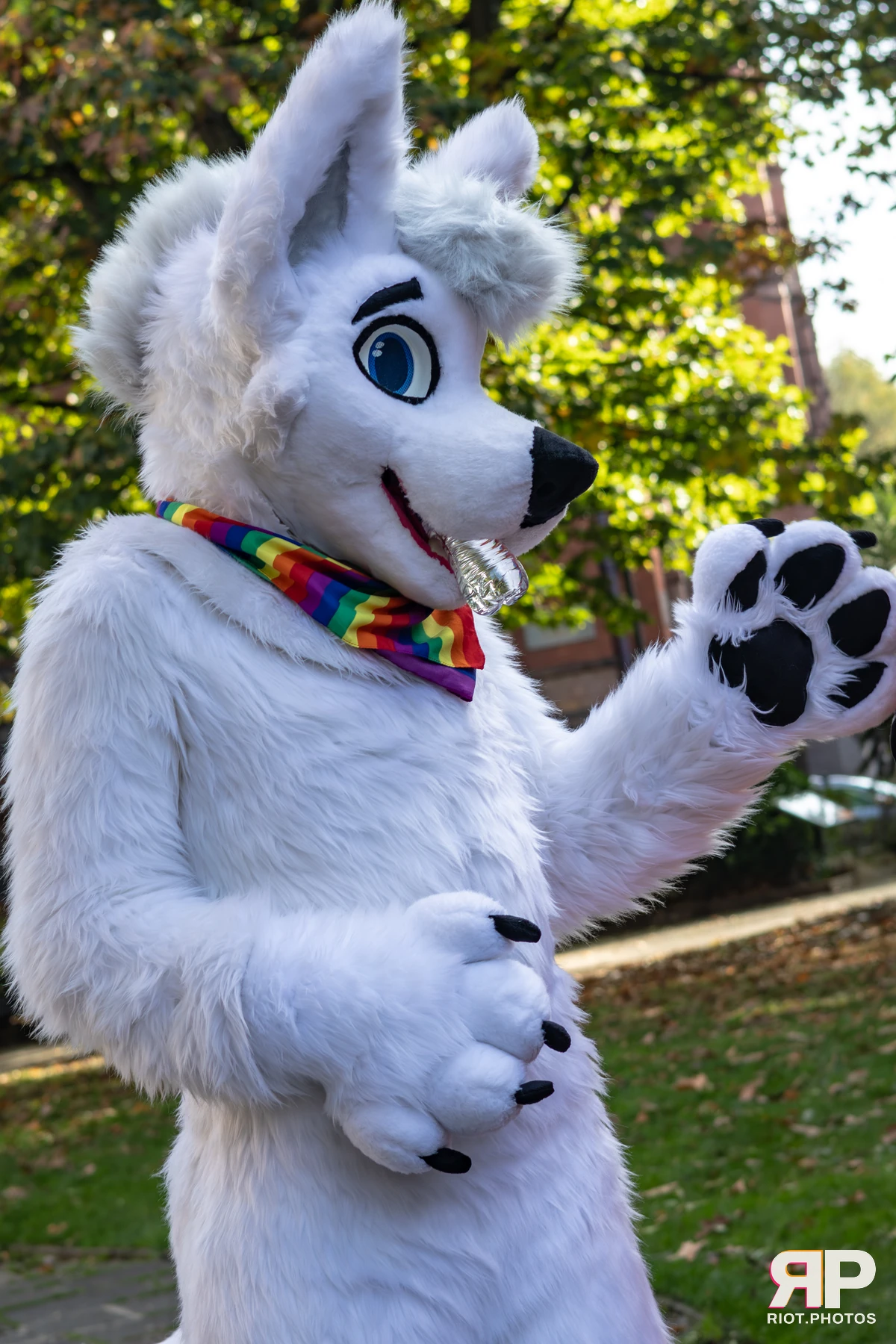 MancFurs - October, 2025 — 11 Oct 2025, Fluffy Riot photography — photo 49