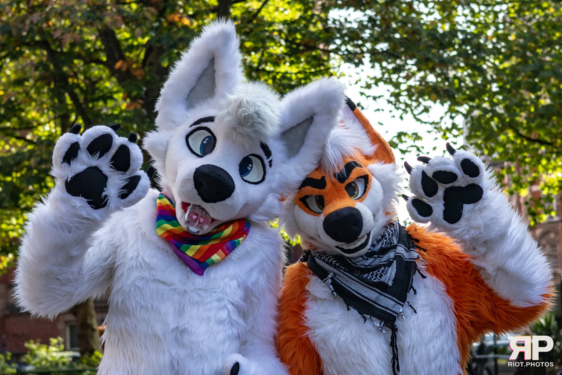 MancFurs - October, 2025 — 11 Oct 2025, Fluffy Riot photography — photo 50