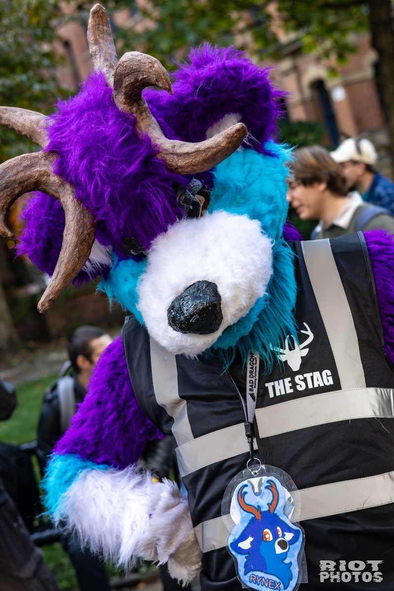 2025-10-11 MancFurs-202510-051.jpg