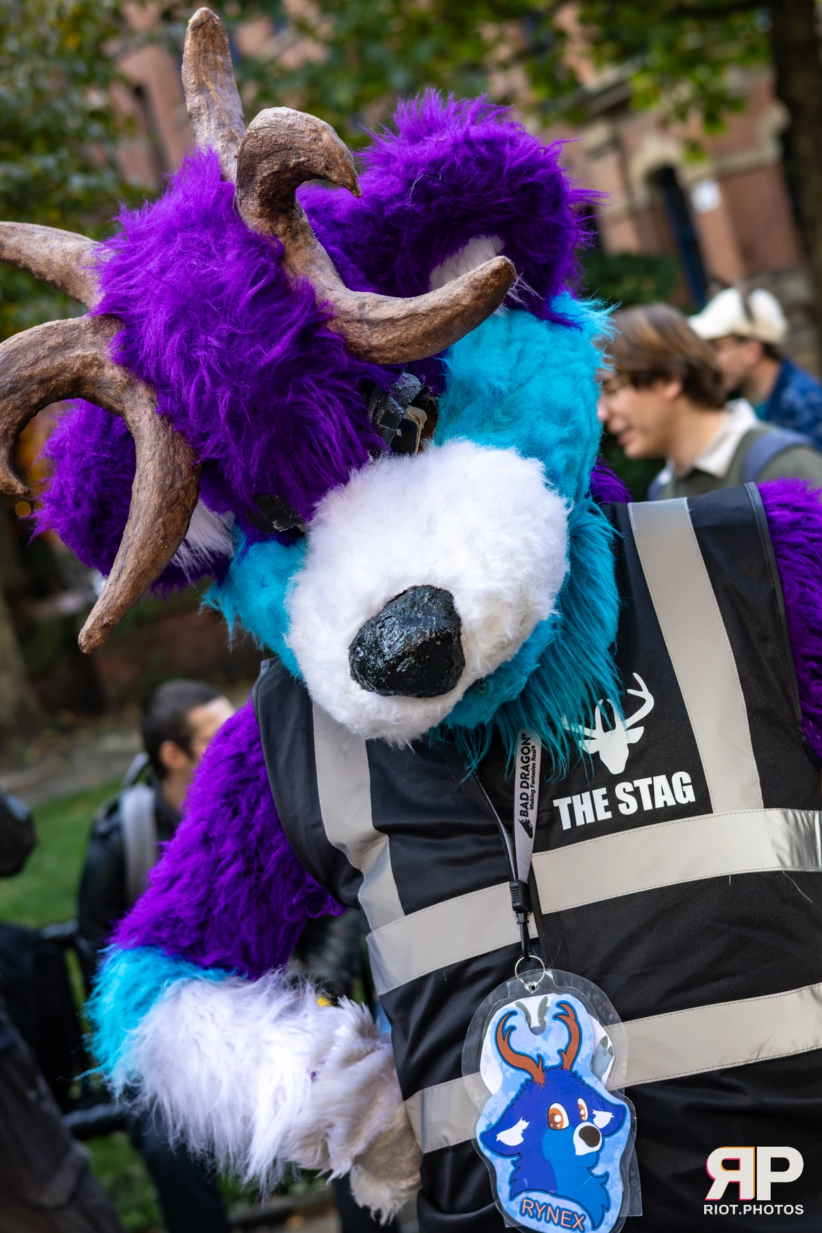 MancFurs - October, 2025 — 11 Oct 2025, Fluffy Riot photography — photo 51