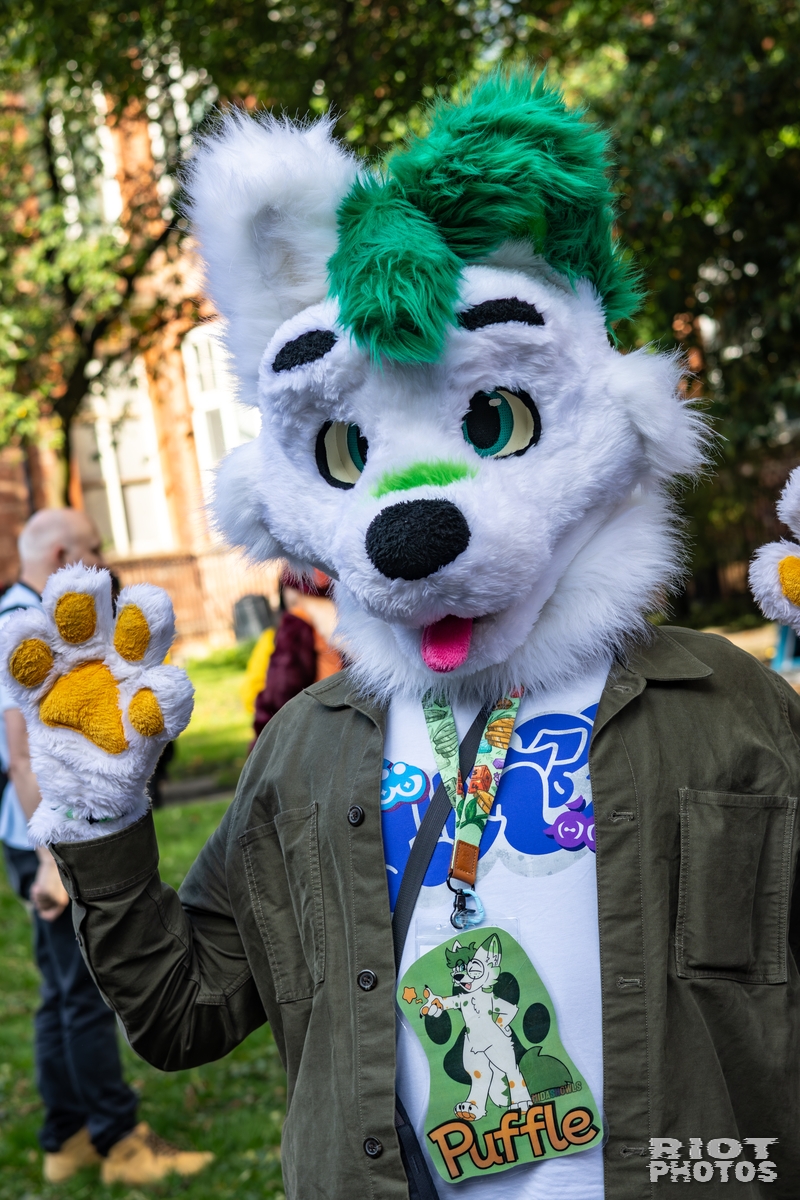 2025-10-11 MancFurs-202510-052.jpg
