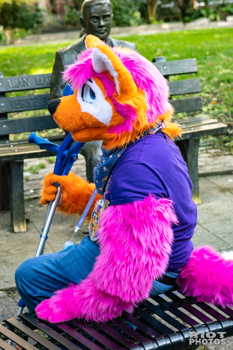 2025-10-11 MancFurs-202510-053.jpg
