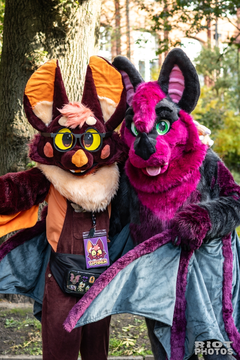 2025-10-11 MancFurs-202510-055.jpg
