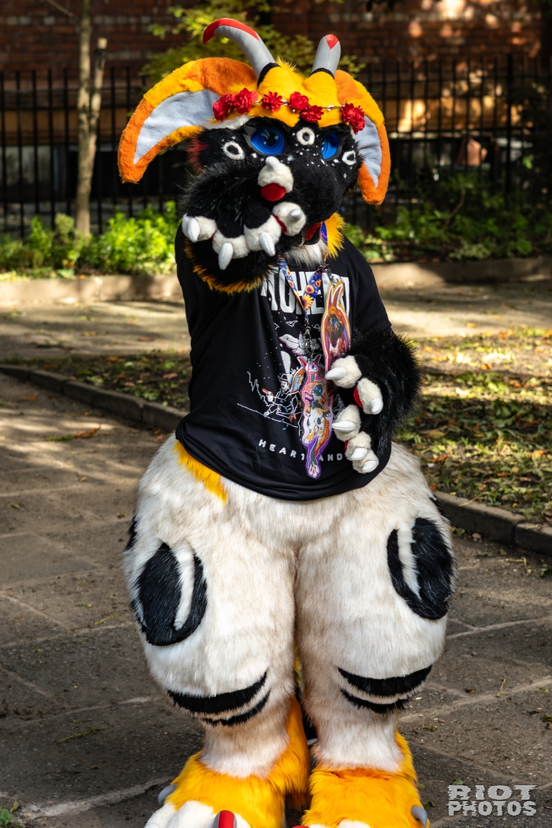 2025-10-11 MancFurs-202510-056.jpg