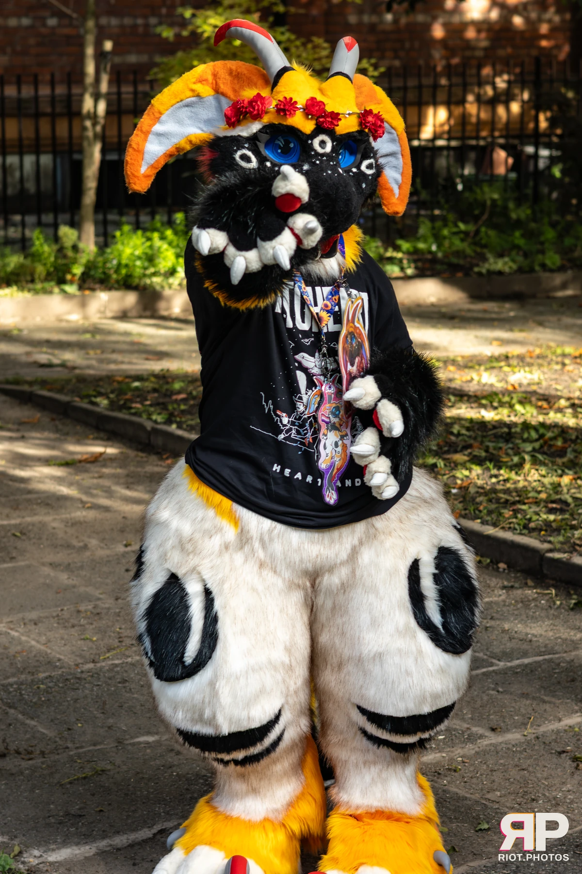 MancFurs - October, 2025 — 11 Oct 2025, Fluffy Riot photography — photo 56
