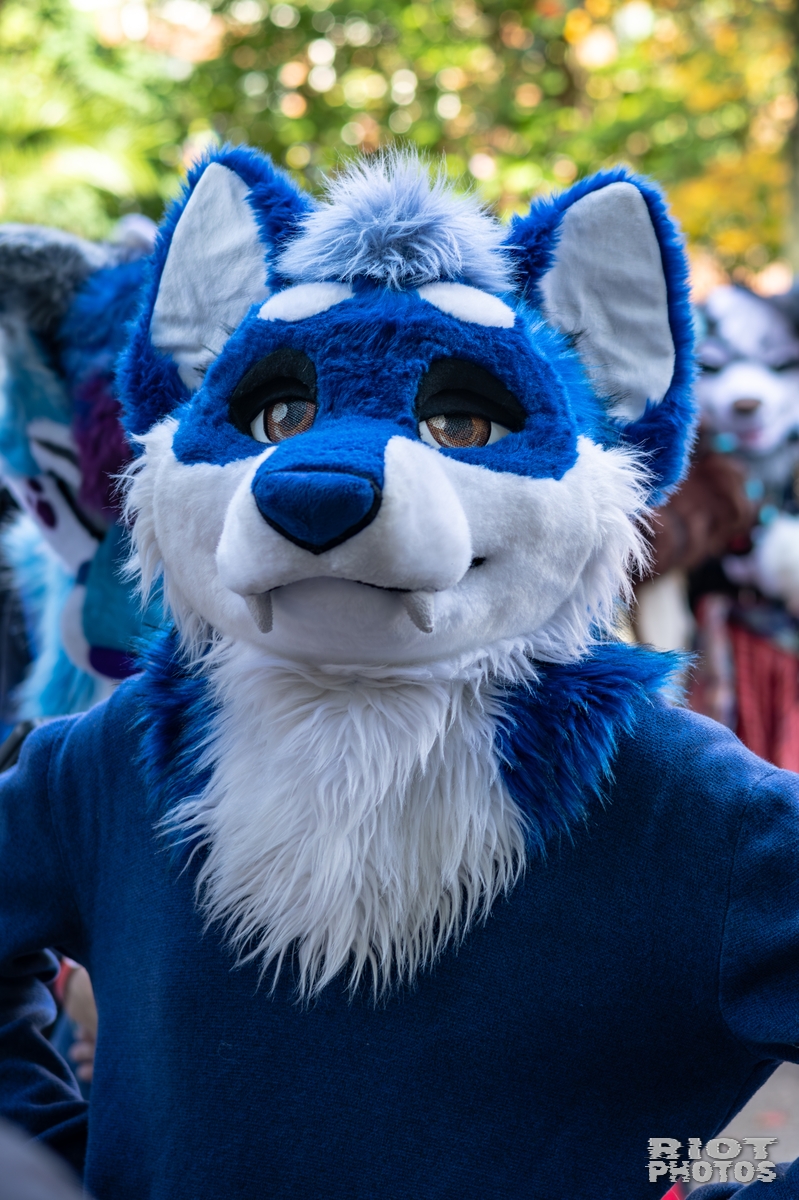 2025-10-11 MancFurs-202510-059.jpg