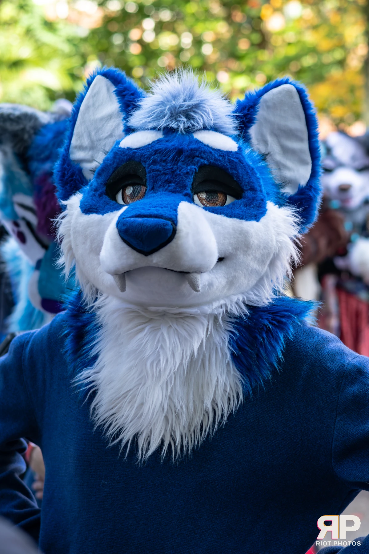 MancFurs - October, 2025 — 11 Oct 2025, Fluffy Riot photography — photo 59