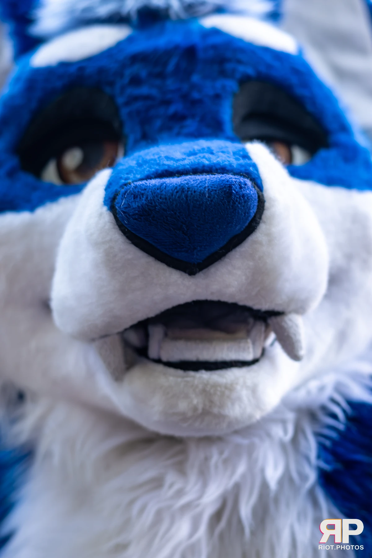 MancFurs - October, 2025 — 11 Oct 2025, Fluffy Riot photography — photo 60