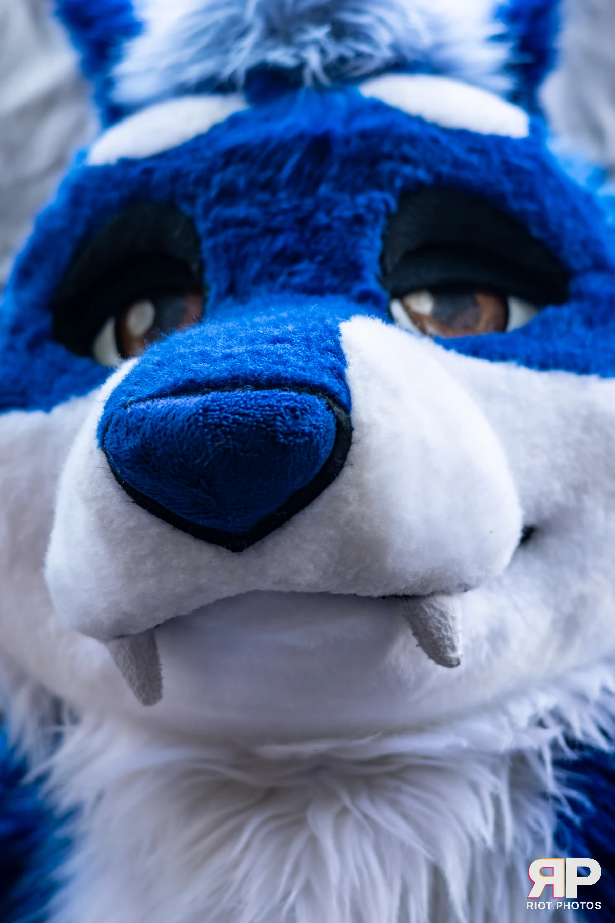 MancFurs - October, 2025 — 11 Oct 2025, Fluffy Riot photography — photo 61