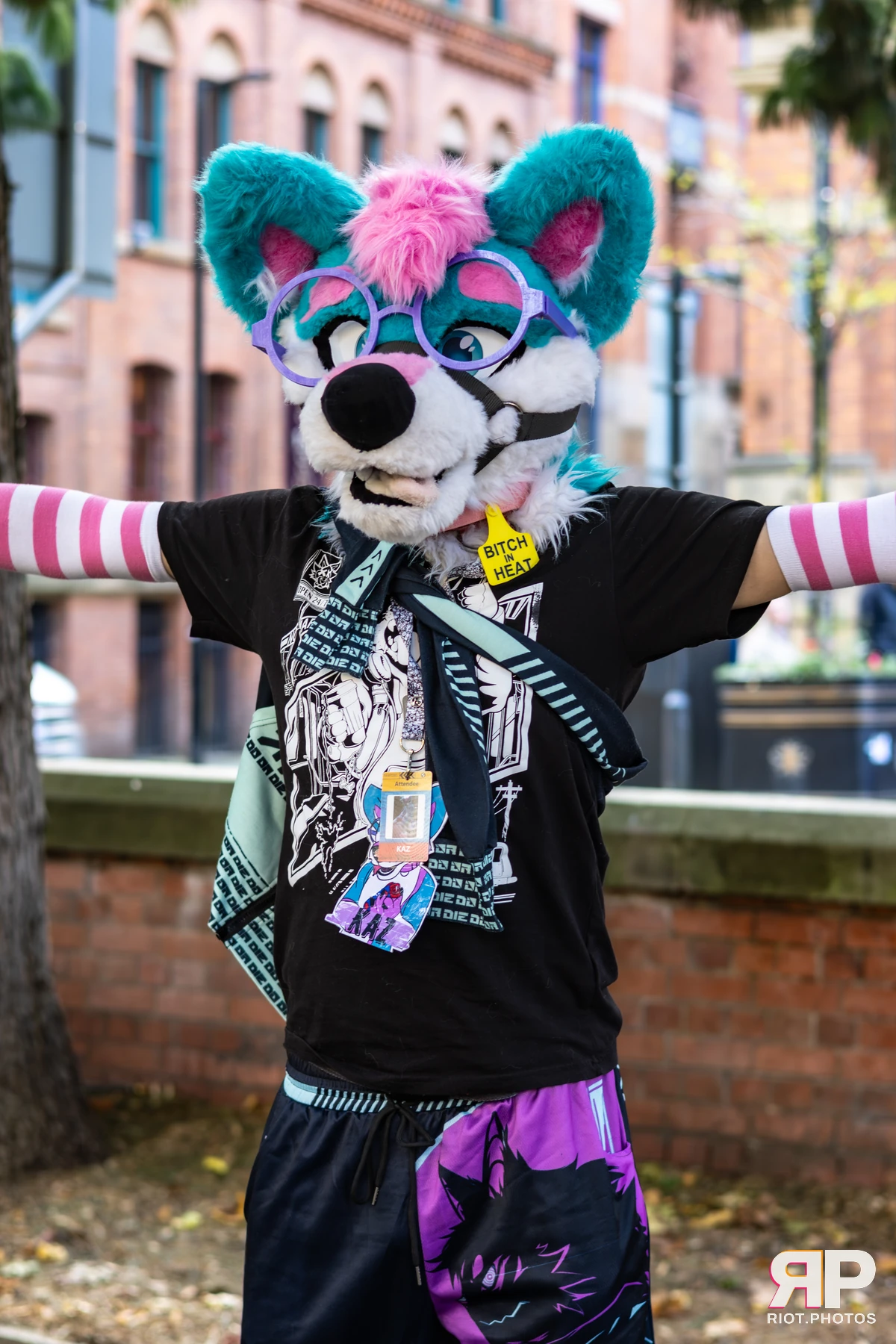 Pup Kaz — furry & pup photography by Fluffy Riot — photo 284