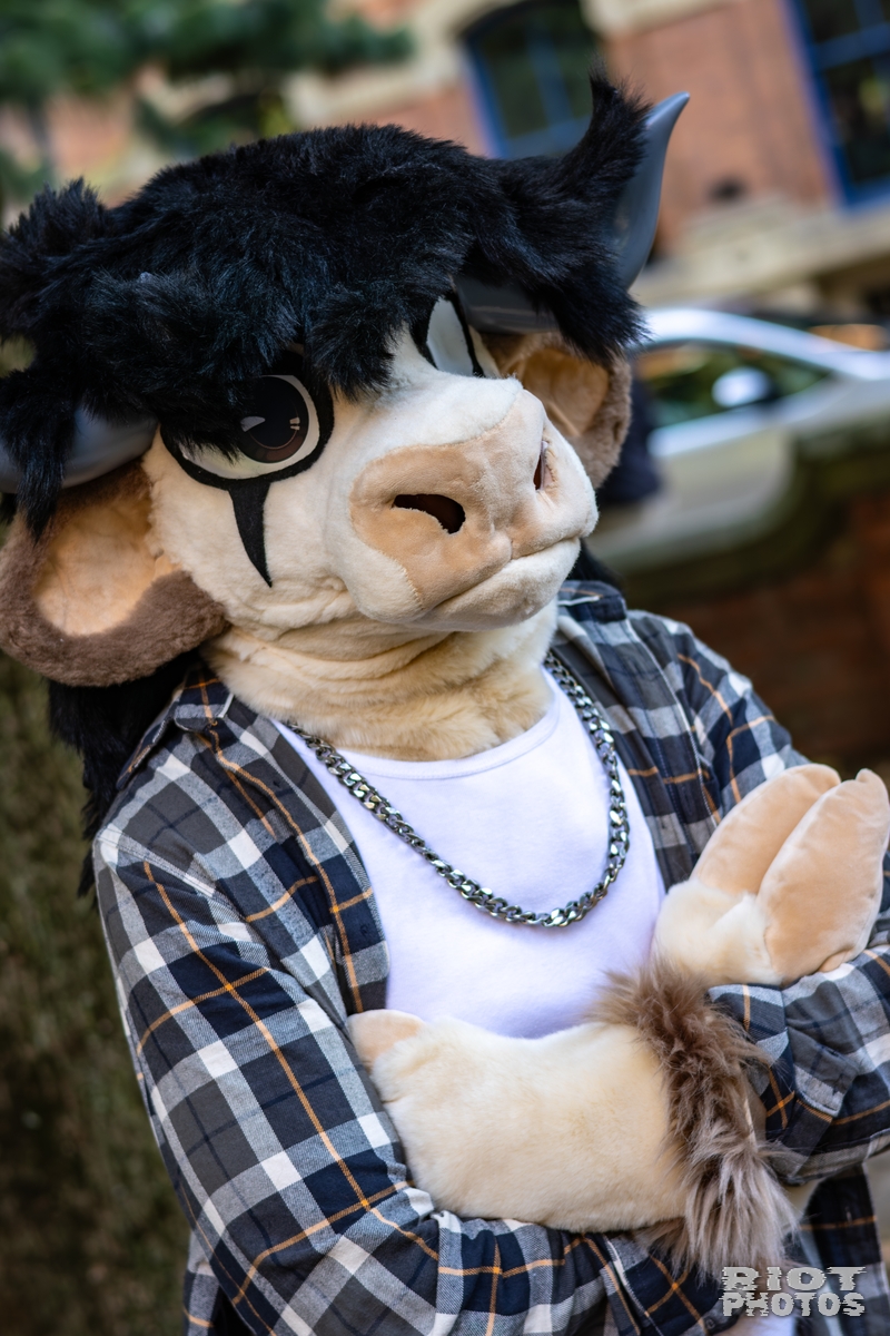 2025-10-11 MancFurs-202510-063.jpg