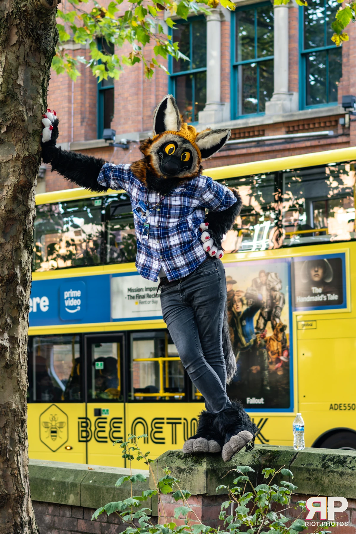 MancFurs - October, 2025 — 11 Oct 2025, Fluffy Riot photography — photo 64