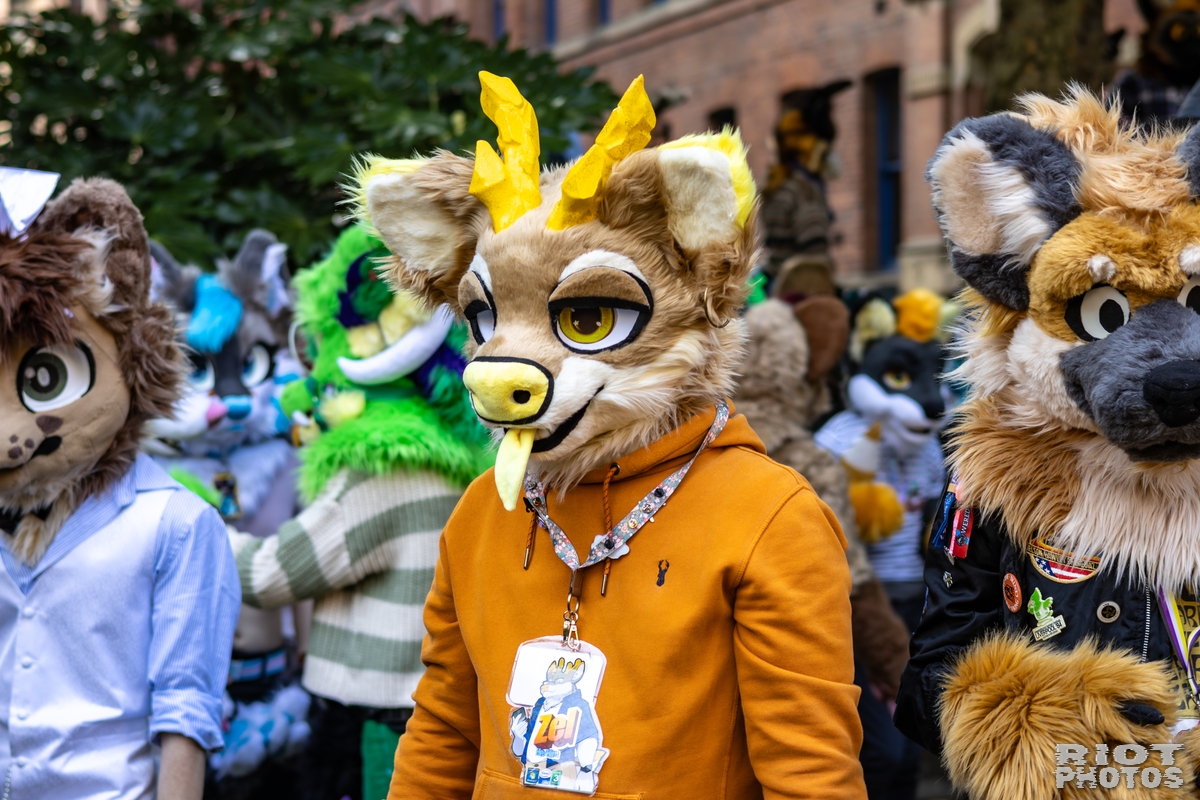 2025-10-11 MancFurs-202510-065.jpg