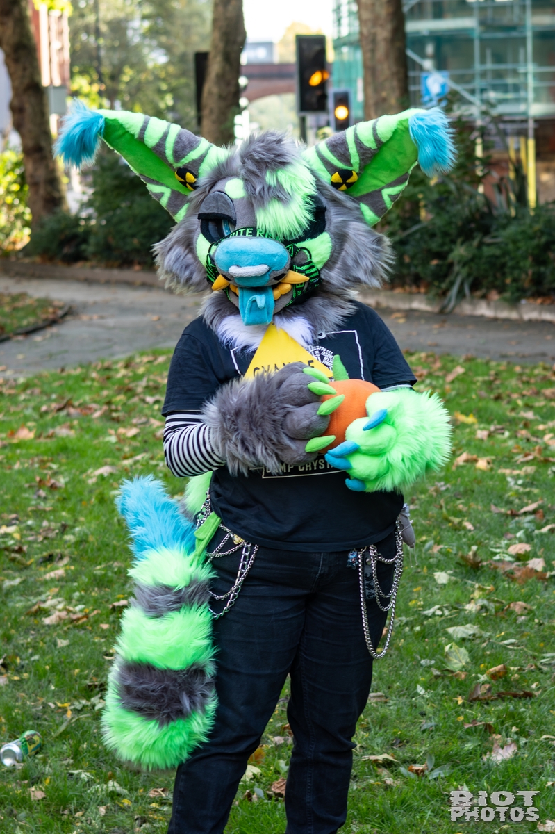 2025-10-11 MancFurs-202510-068.jpg