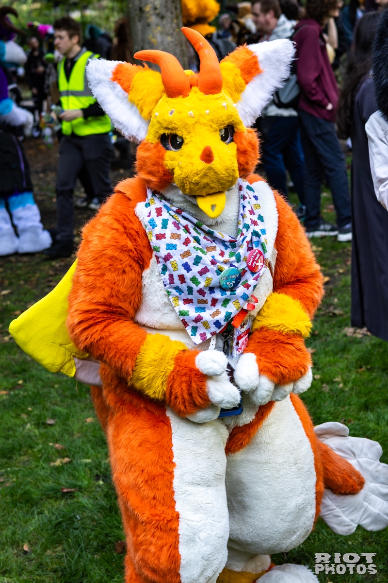 2025-10-11 MancFurs-202510-069.jpg