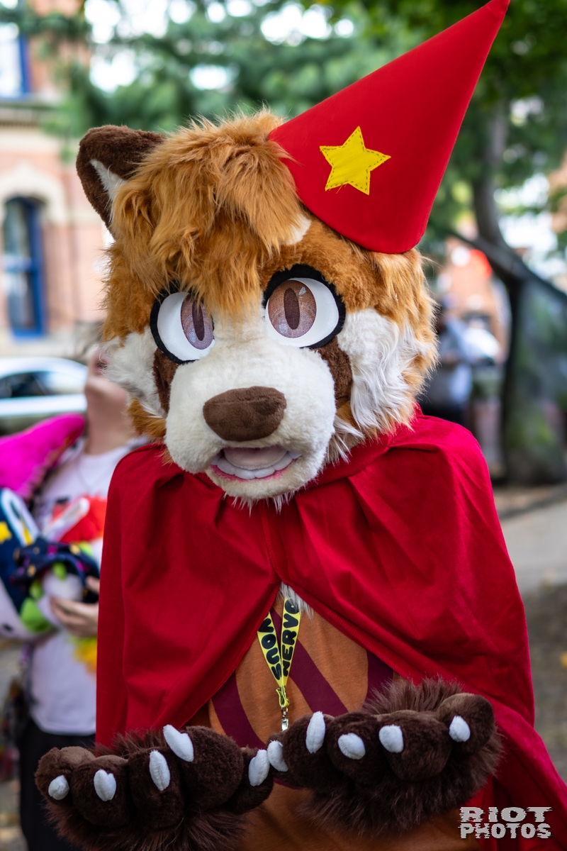 2025-10-11 MancFurs-202510-071.jpg