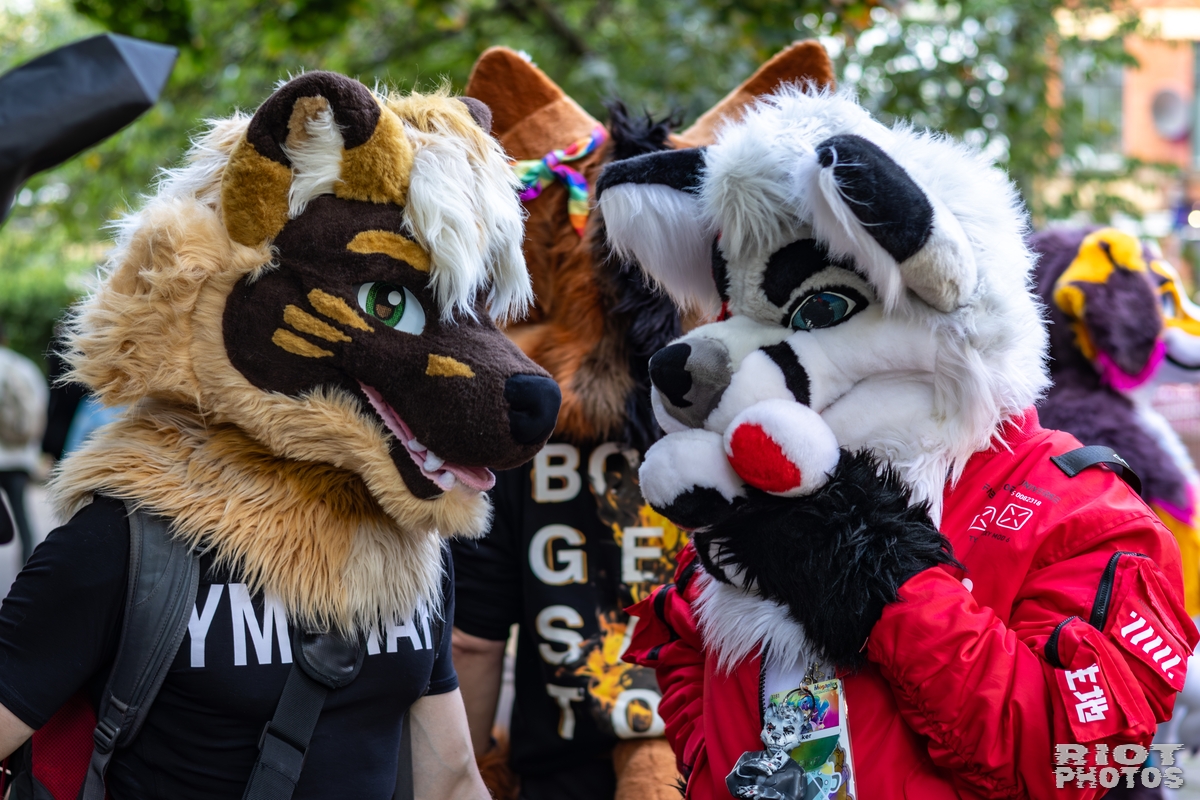 2025-10-11 MancFurs-202510-073.jpg
