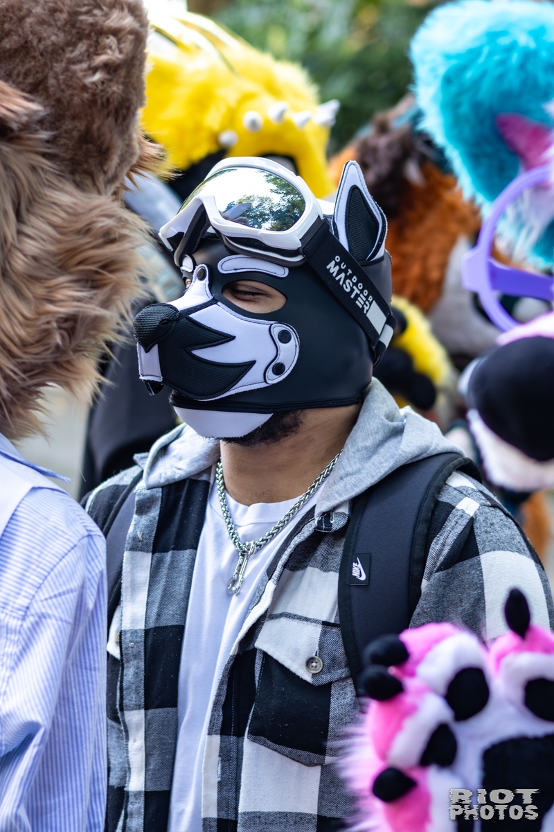 2025-10-11 MancFurs-202510-074.jpg