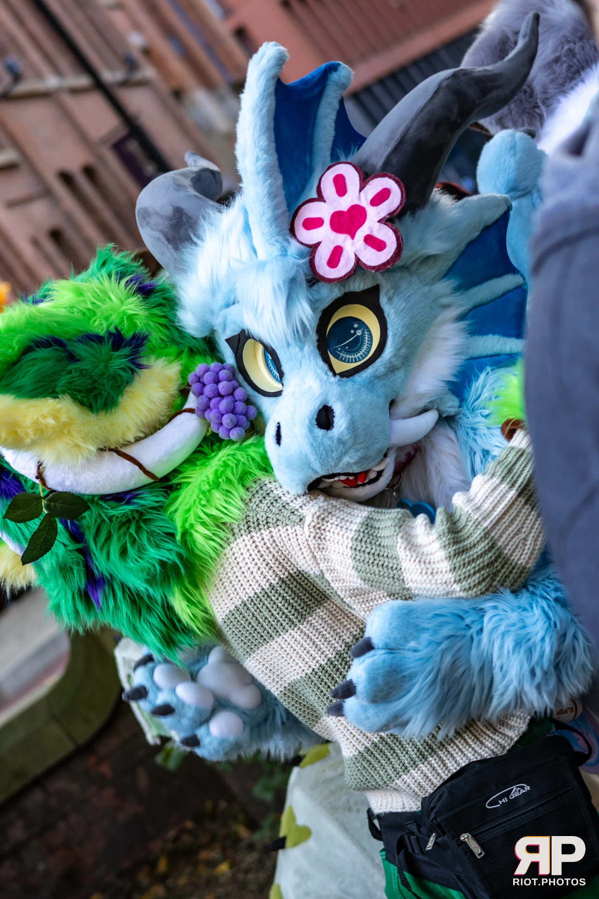 MancFurs - October, 2025 — 11 Oct 2025, Fluffy Riot photography — photo 76