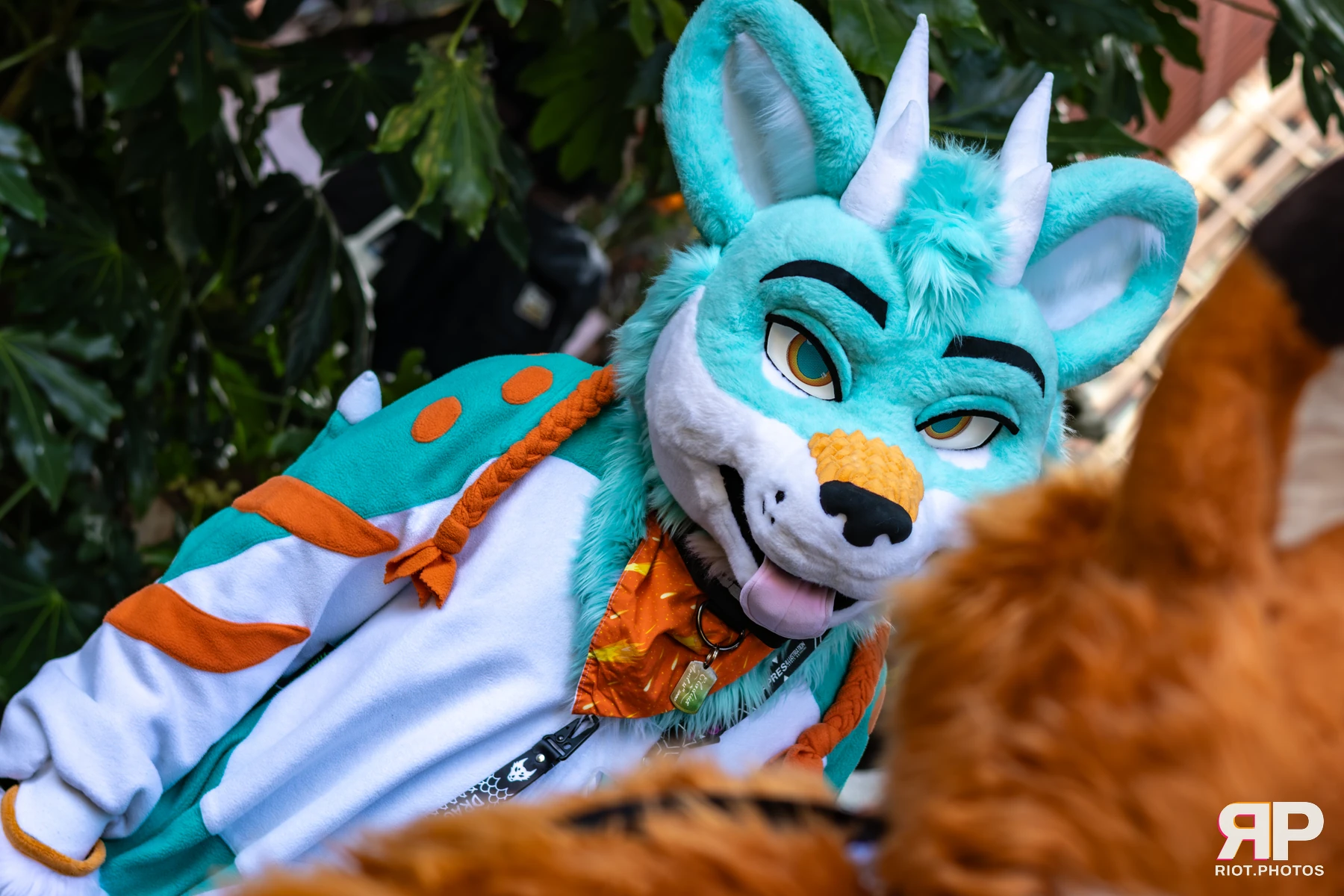 MancFurs - October, 2025 — 11 Oct 2025, Fluffy Riot photography — photo 77