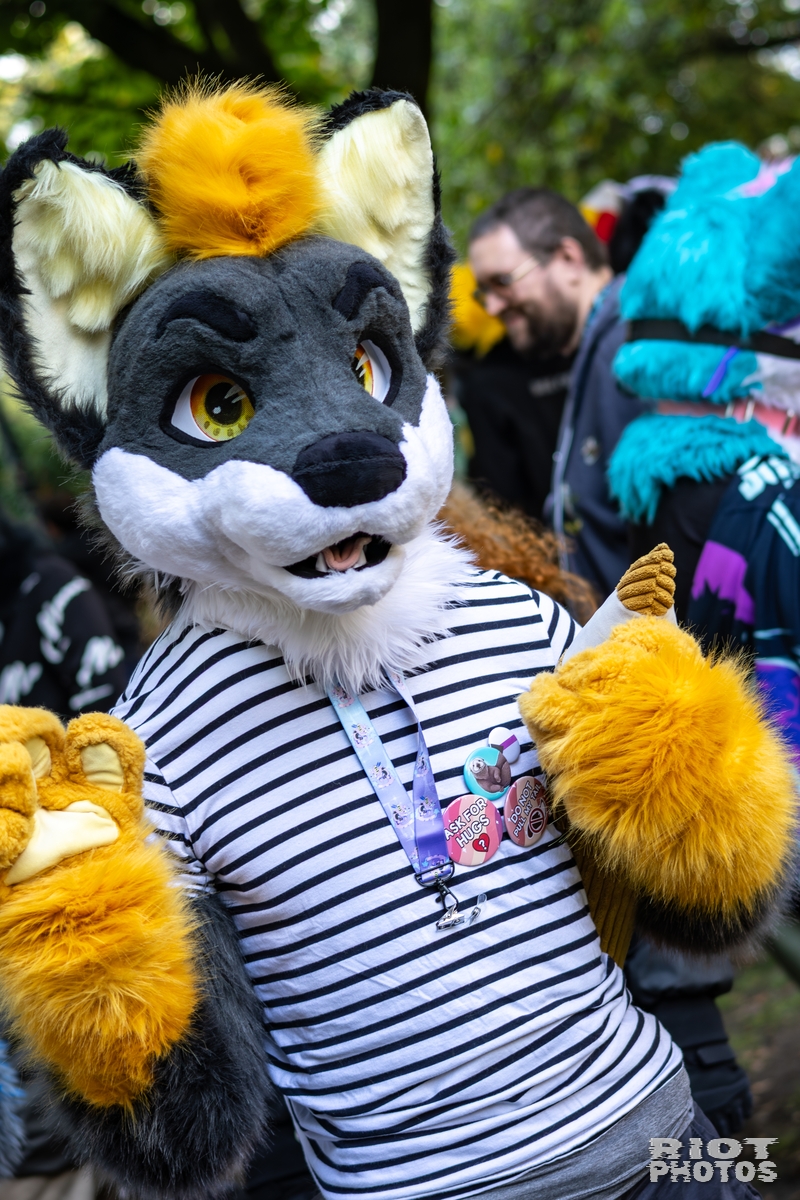 2025-10-11 MancFurs-202510-078.jpg
