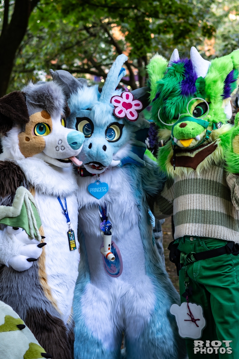 2025-10-11 MancFurs-202510-079.jpg