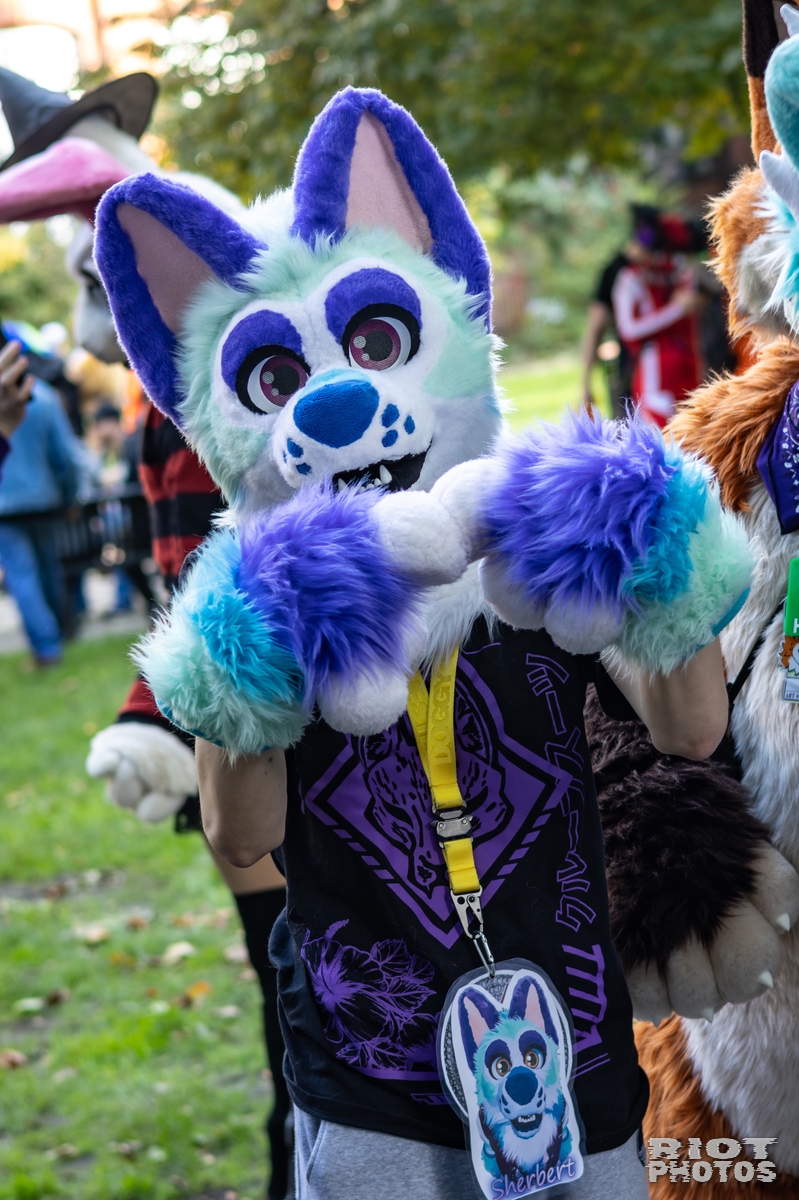 2025-10-11 MancFurs-202510-080.jpg