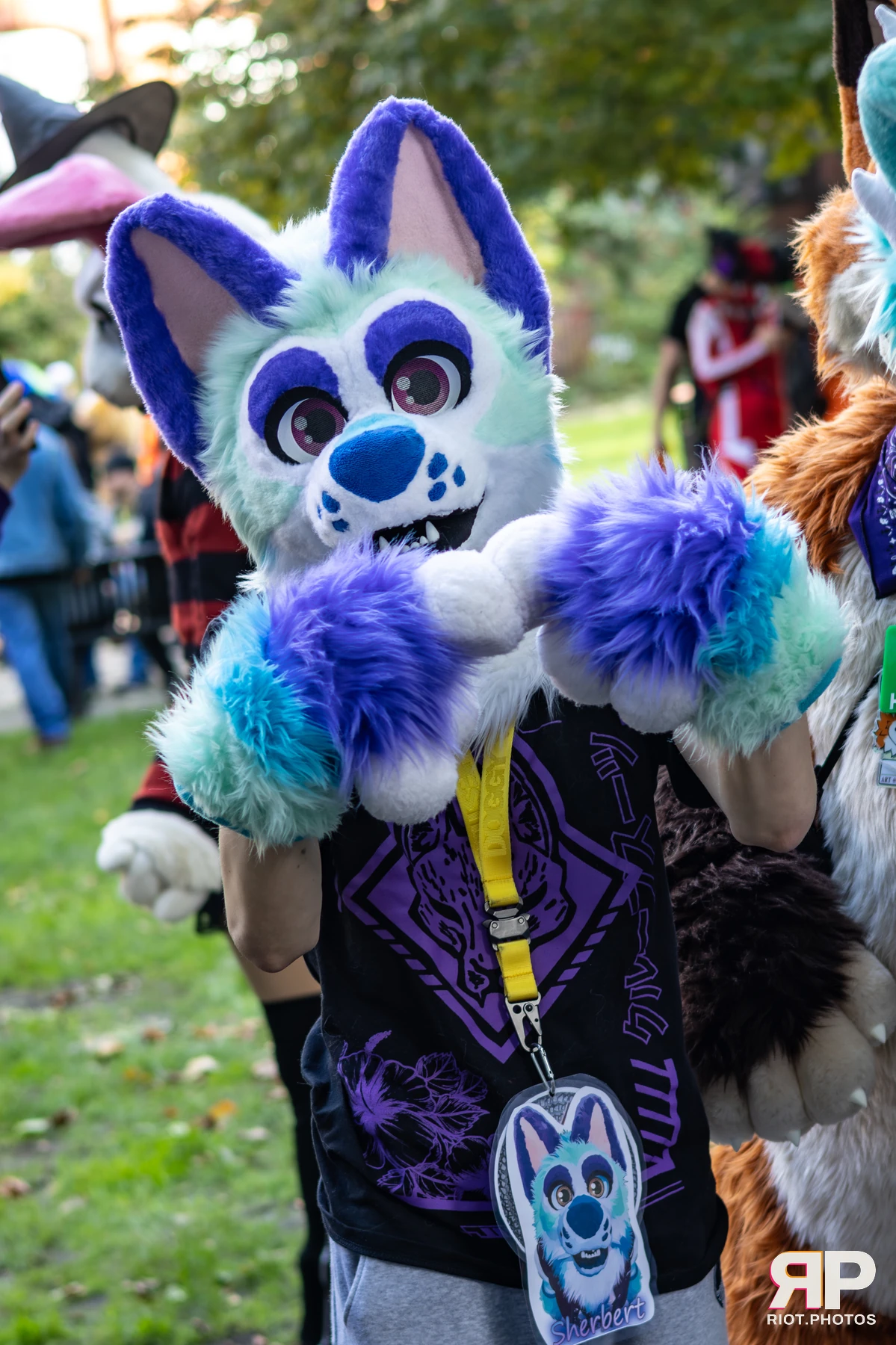 MancFurs - October, 2025 — 11 Oct 2025, Fluffy Riot photography — photo 80