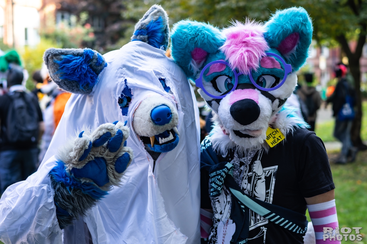 2025-10-11 MancFurs-202510-083.jpg