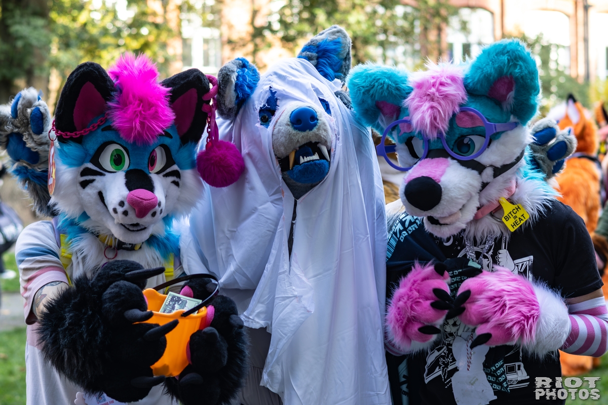 2025-10-11 MancFurs-202510-084.jpg