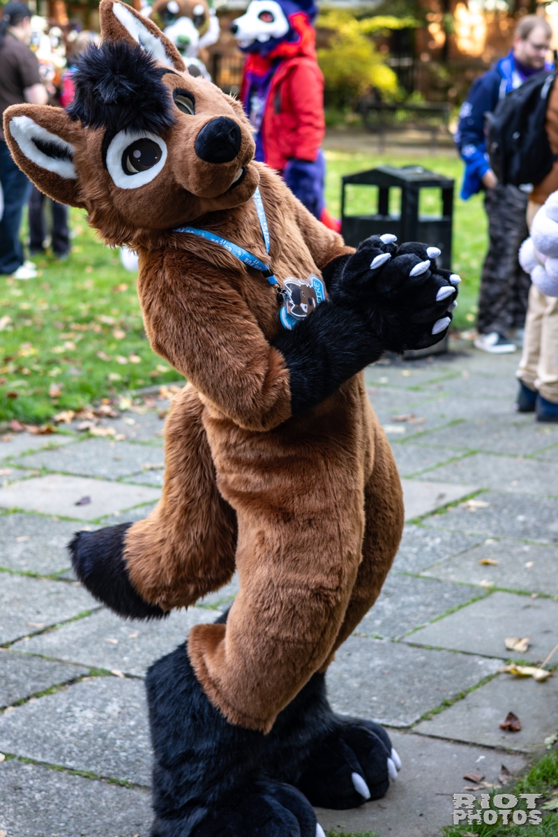 2025-10-11 MancFurs-202510-088.jpg