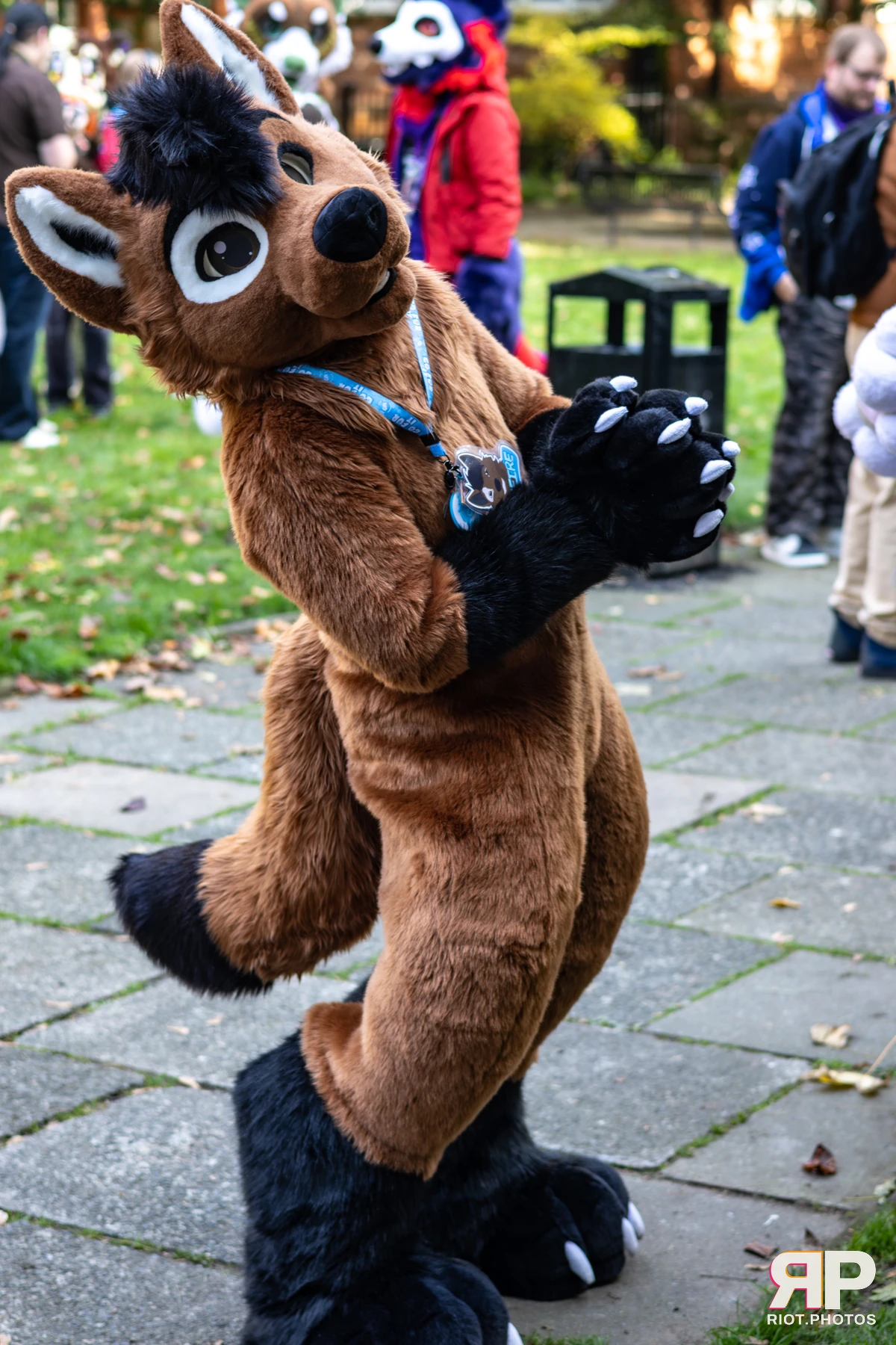 MancFurs - October, 2025 — 11 Oct 2025, Fluffy Riot photography — photo 88