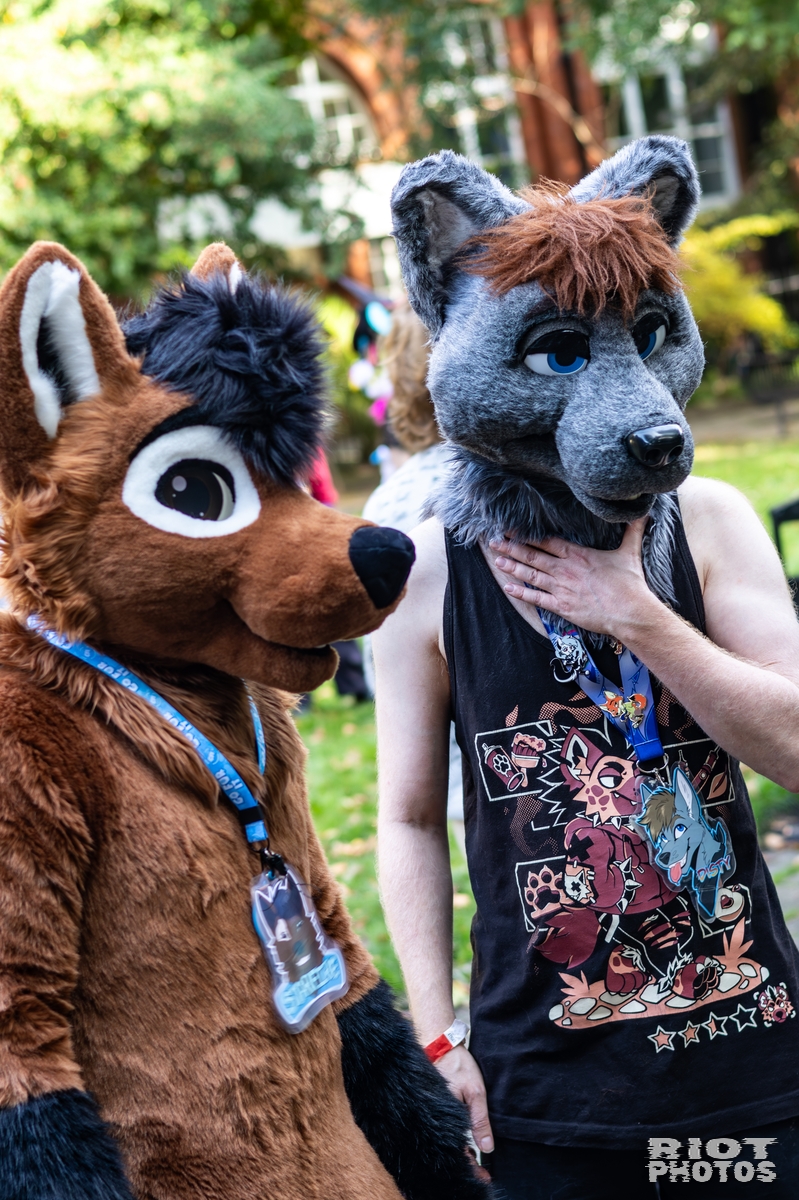 2025-10-11 MancFurs-202510-089.jpg
