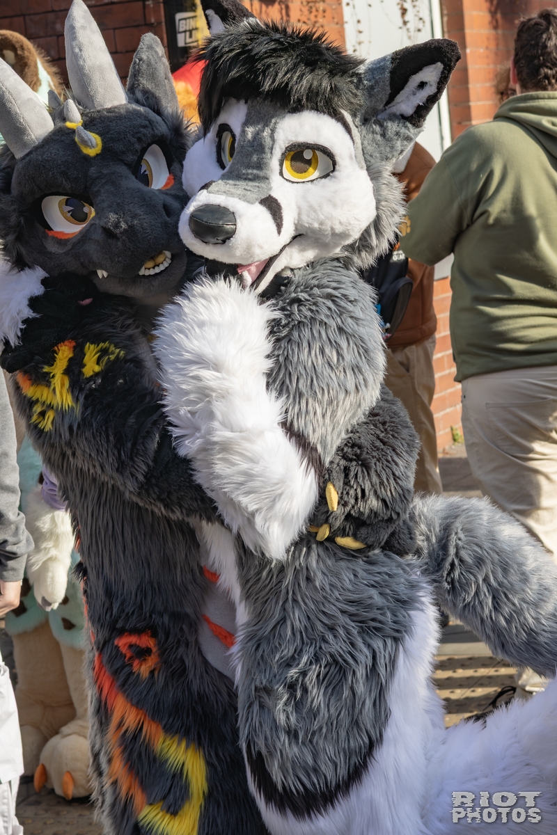 2025-10-11 MancFurs-202510-092.jpg