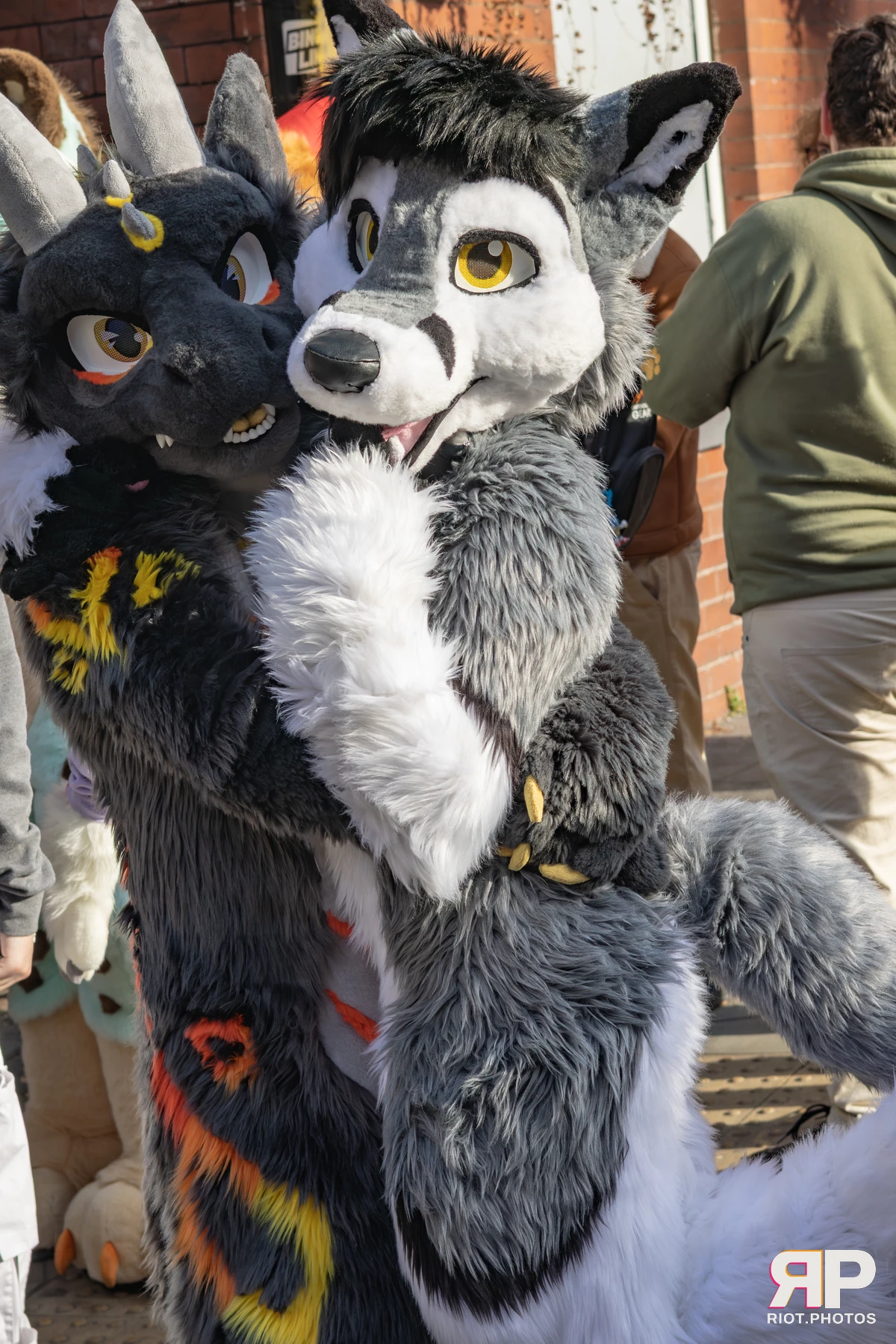 MancFurs - October, 2025 — 11 Oct 2025, Fluffy Riot photography — photo 92