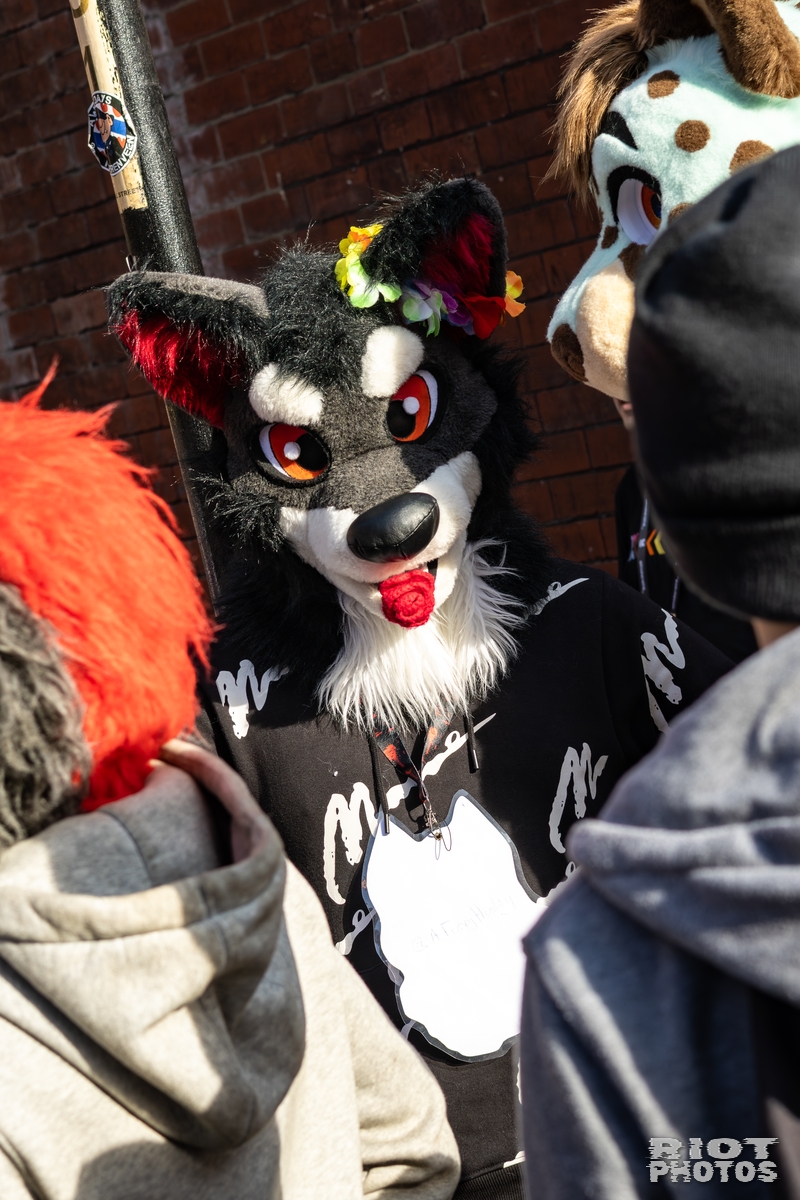2025-10-11 MancFurs-202510-093.jpg