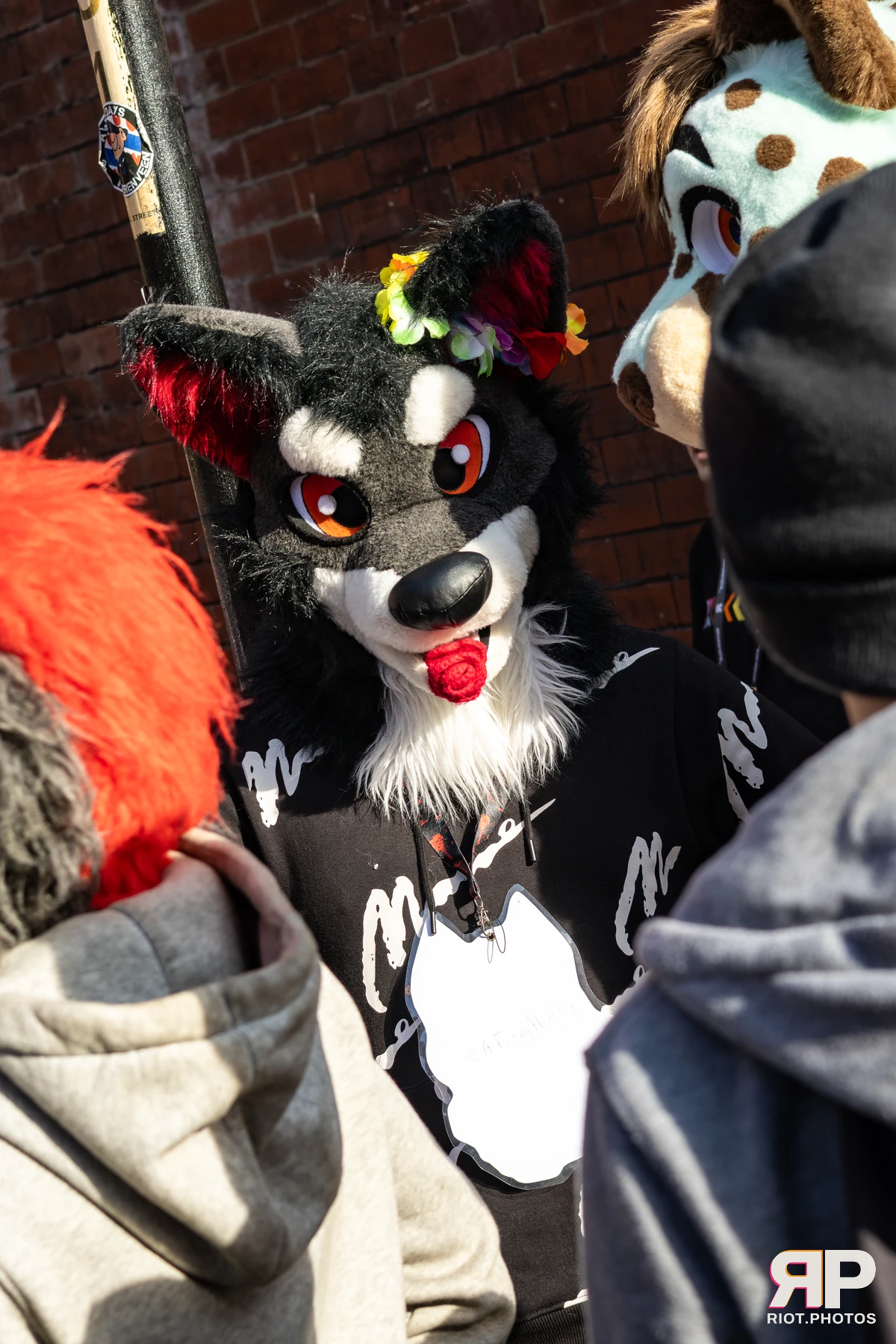MancFurs - October, 2025 — 11 Oct 2025, Fluffy Riot photography — photo 93
