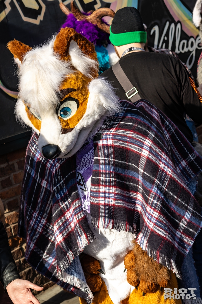 2025-10-11 MancFurs-202510-094.jpg