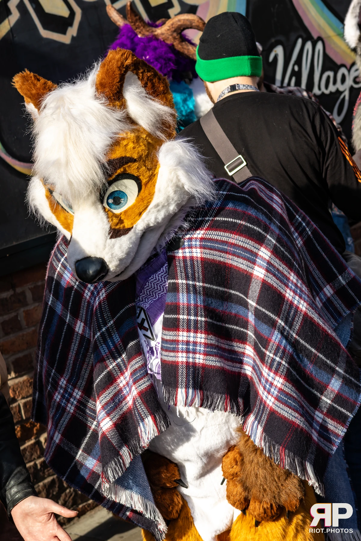 MancFurs - October, 2025 — 11 Oct 2025, Fluffy Riot photography — photo 94
