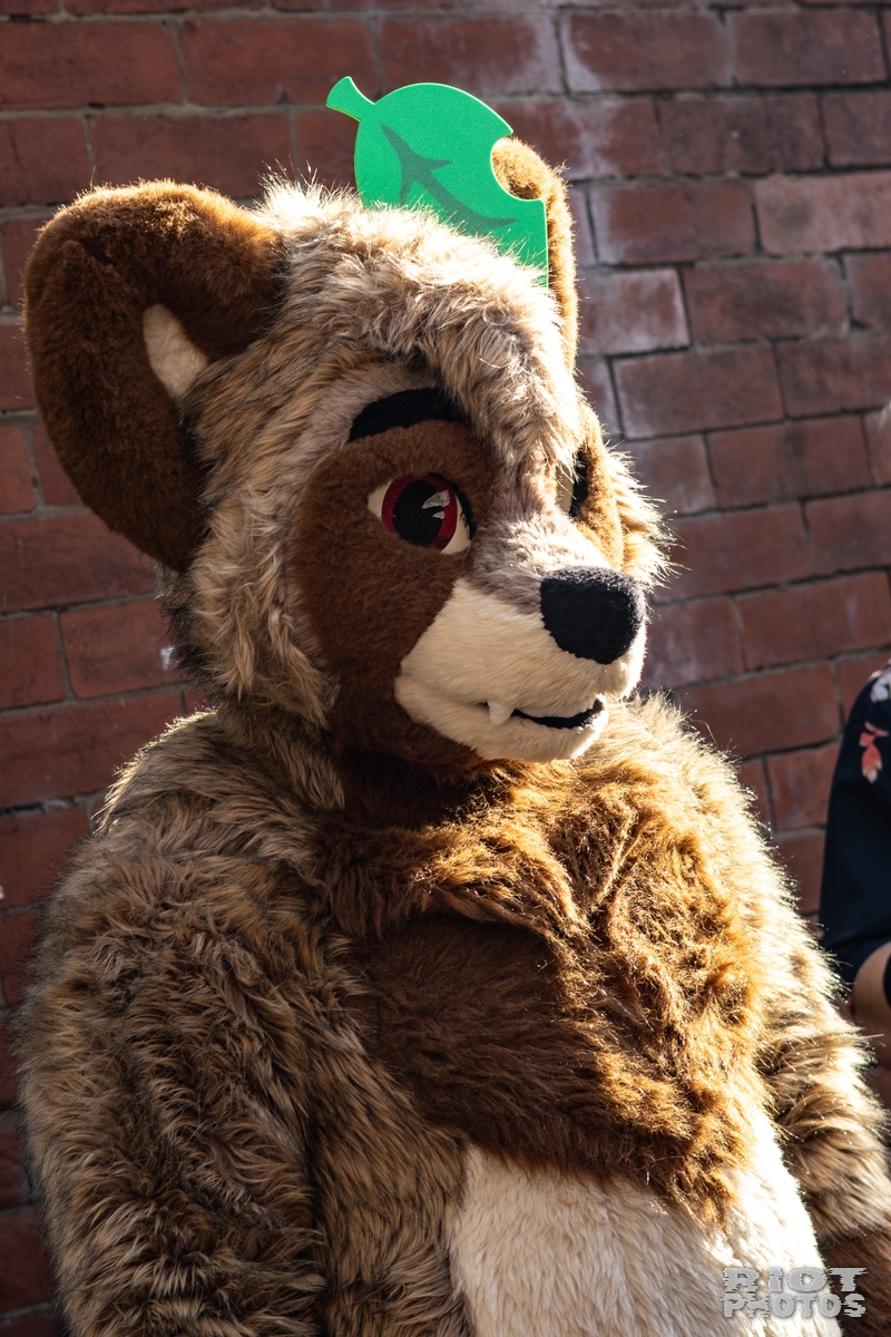 2025-10-11 MancFurs-202510-095.jpg