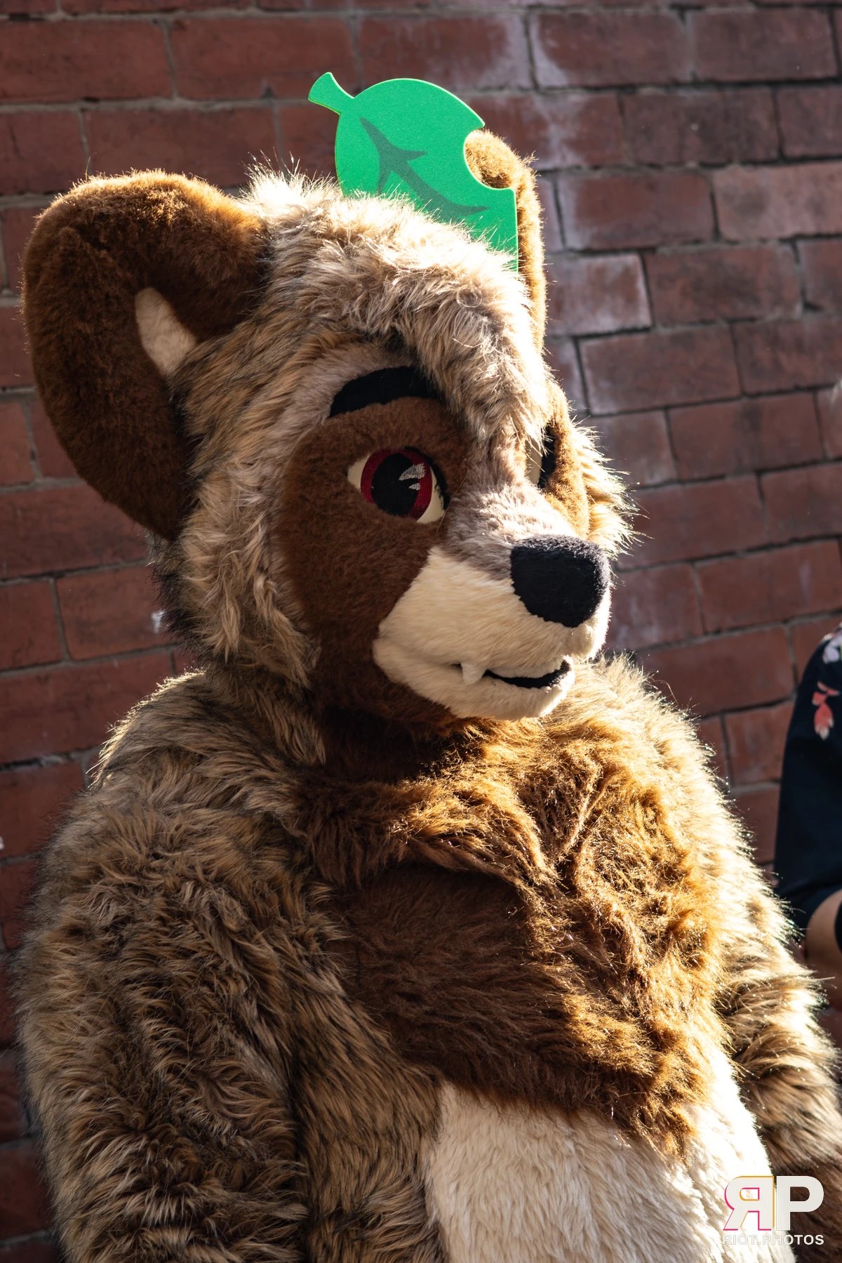 MancFurs - October, 2025 — 11 Oct 2025, Fluffy Riot photography — photo 95