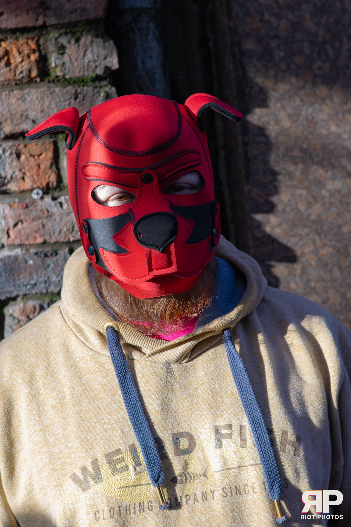 MancFurs - November, 2025 — 08 Nov 2025, Fluffy Riot photography — photo 6
