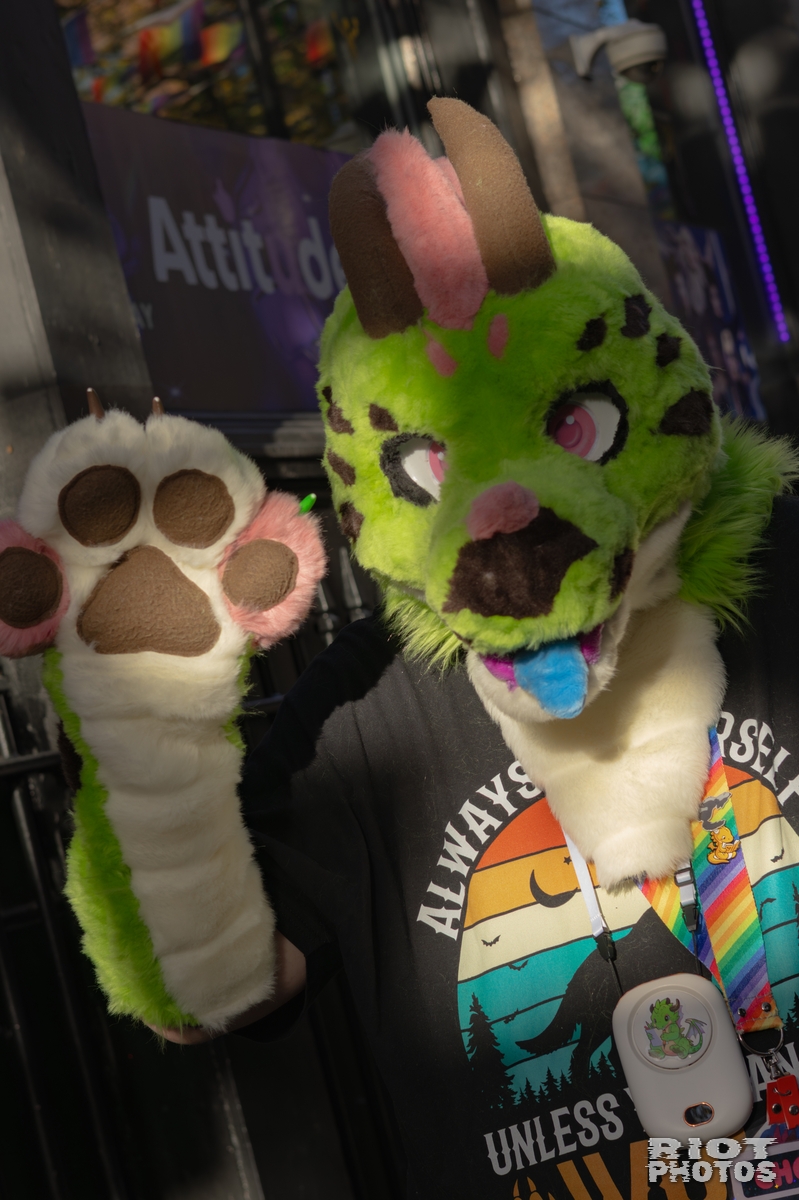 2025-11-08 MancFurs-202511-008.jpg