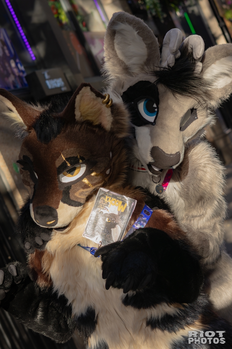 2025-11-08 MancFurs-202511-009.jpg