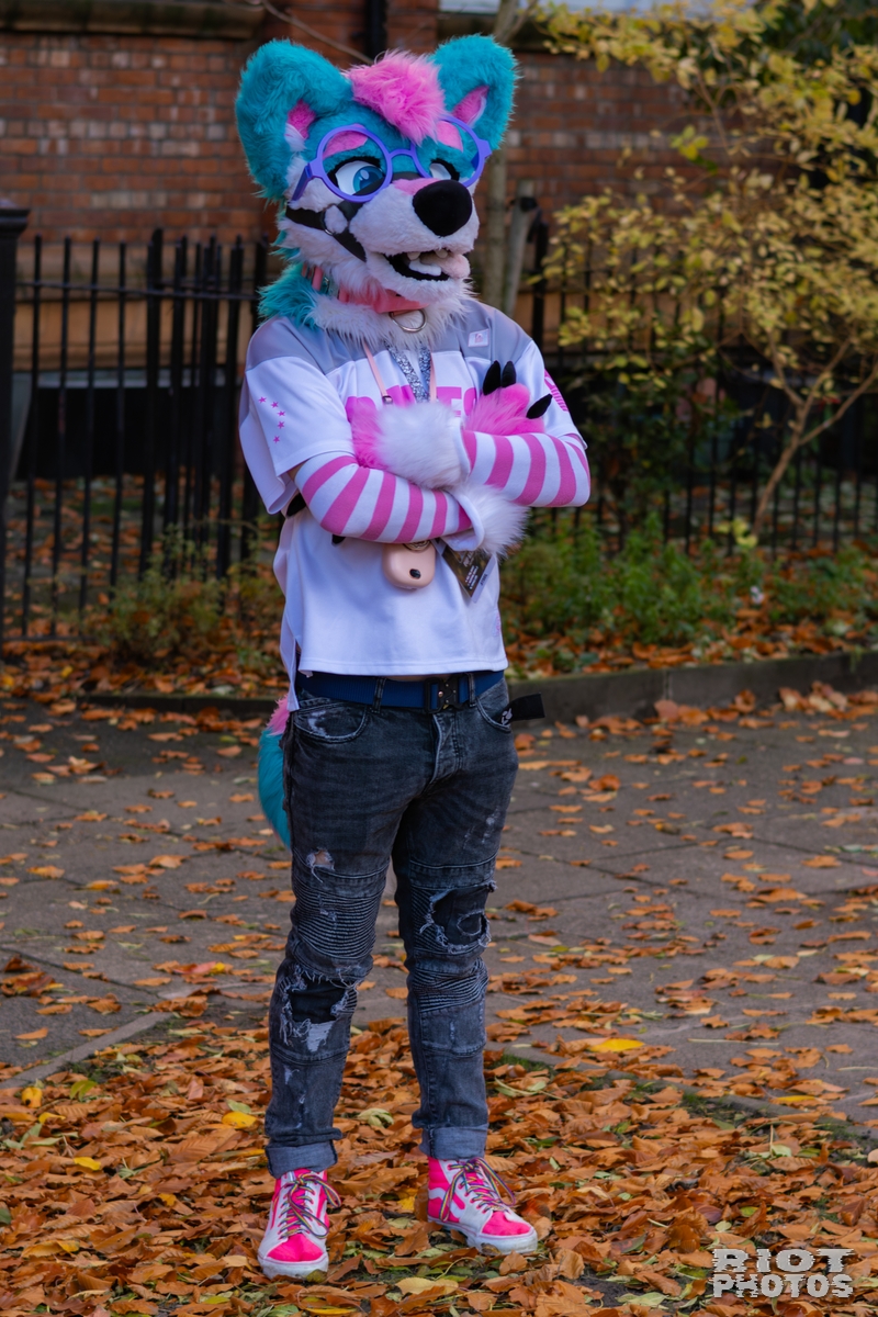 2025-11-08 MancFurs-202511-010.jpg