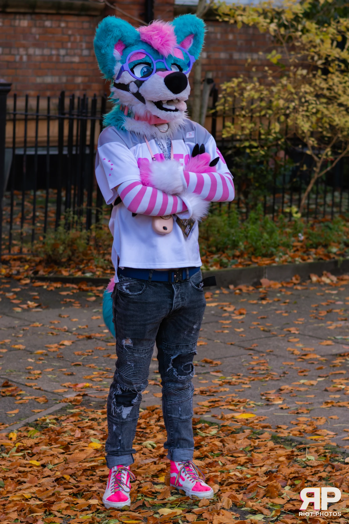 Pup Kaz — furry & pup photography by Fluffy Riot — photo 262